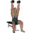 Triceps Extension - Seated Dumbbell Alternate